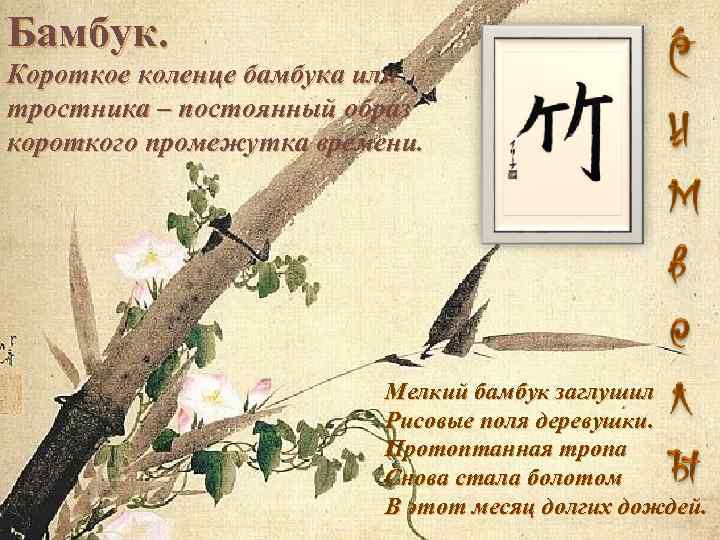 Бамбук. Короткое коленце бамбука или тростника – постоянный образ короткого промежутка времени. Мелкий бамбук
