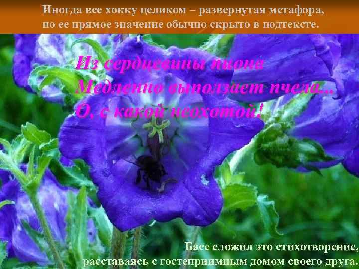 Иногда все хокку целиком – развернутая метафора, но ее прямое значение обычно скрыто в