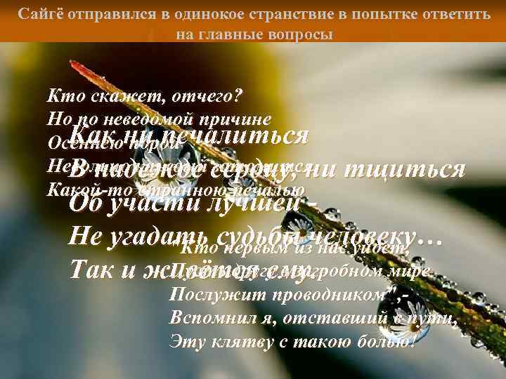Сайгё отправился в одинокое странствие в попытке ответить на главные вопросы Кто скажет, отчего?