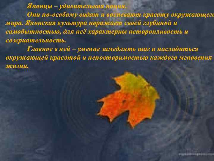 Японцы – удивительная нация. Они по-особому видят и воспевают красоту окружающего мира. Японская культура