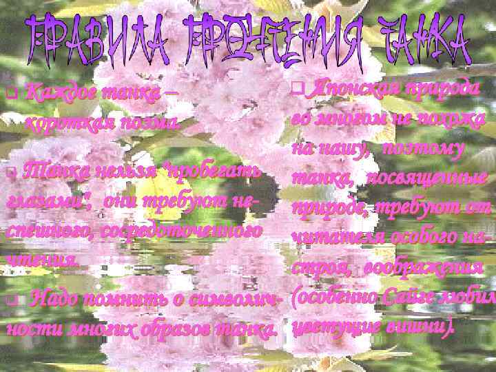 q Каждое танка – короткая поэма. q Японская природа во многом не похожа на