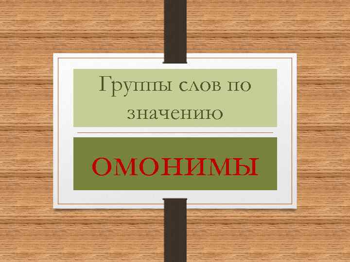 Группы слов по значению омонимы 
