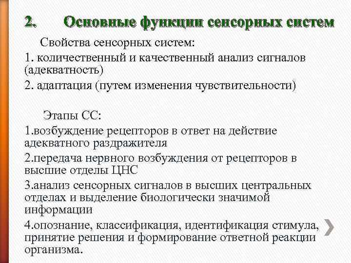 Свойства сенсорных процессов. Свойства сенсорных систем. Основные функции сенсорных систем. Анализ информации в сенсорной системе происходит:.