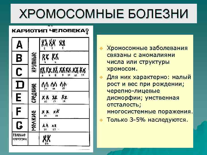 ХРОМОСОМНЫЕ БОЛЕЗНИ u u u Хромосомные заболевания связаны с аномалиями числа или структуры хромосом.