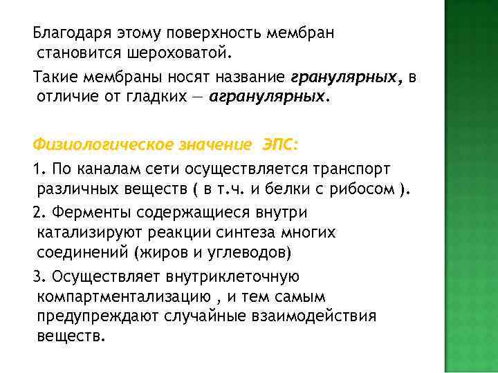   АППАРАТ ГОЛЬДЖИ Стопки цистерн, окруженных мембранами. Кроме цистерн имеется ряд сферических пузырьков.