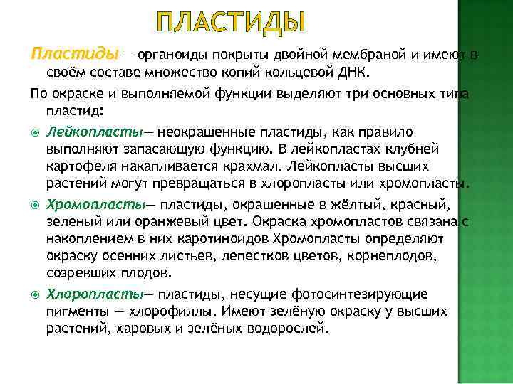 У зеленых водорослей может  быть по одному хлоропласту  на клетку. Обычно на
