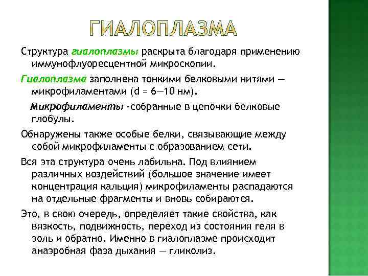Цитоплазма большинства клеток содержит  микротрубочки Диаметр микротрубочки 20— 25 нм, толщина стенок 5—