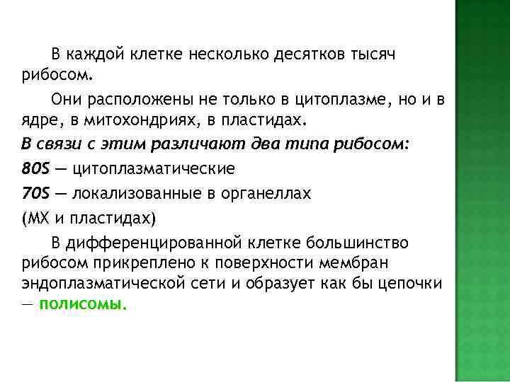  Плазмалемма  Вакуоль  Эндоплазматическая  сеть  Аппарат. Гольджи  Лизосомы 