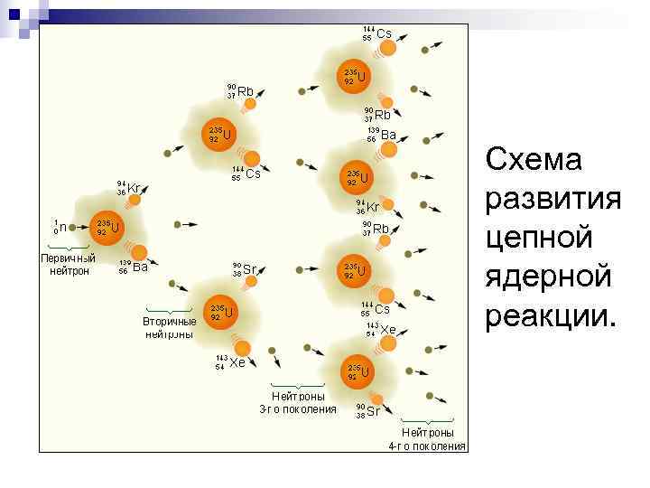 Схема развития цепной ядерной реакции. 