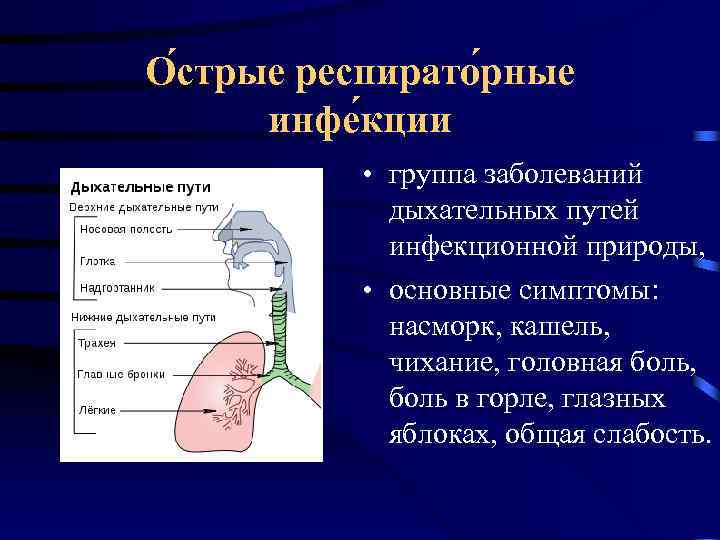 О стрые респирато рные  инфе кции   • группа заболеваний  