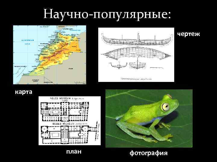   Научно-популярные:      чертеж карта    план