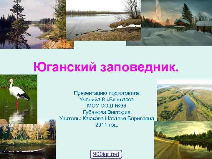 Юганский заповедник.   Презентацию подготовила  Ученийа 8 «Б» класса   МОУ