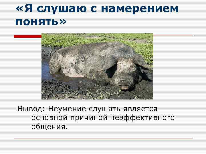  «Я слушаю с намерением понять» Вывод: Неумение слушать является  основной причиной неэффективного