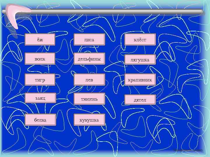  ёж  лиса  клёст  волк  дельфины  лягушка  тигр