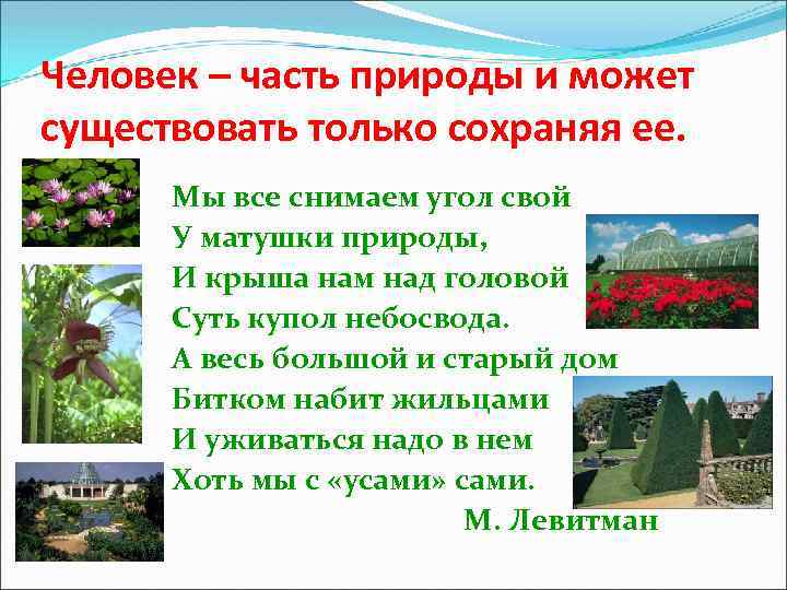 Человек – часть природы и может существовать только сохраняя ее. Мы все снимаем угол