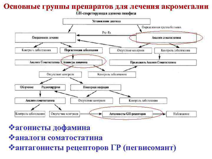 Основные группы препаратов для лечения акромегалии vагонисты дофамина vаналоги соматостатина vантагонисты рецепторов ГР (пегвисомант)