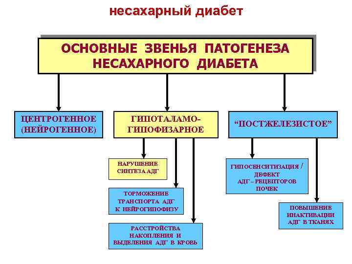 несахарный диабет ОСНОВНЫЕ ЗВЕНЬЯ ПАТОГЕНЕЗА НЕСАХАРНОГО ДИАБЕТА ЦЕНТРОГЕННОЕ (НЕЙРОГЕННОЕ) ГИПОТАЛАМОГИПОФИЗАРНОЕ НАРУШЕНИЕ СИНТЕЗА АДГ ТОРМОЖЕНИЕ