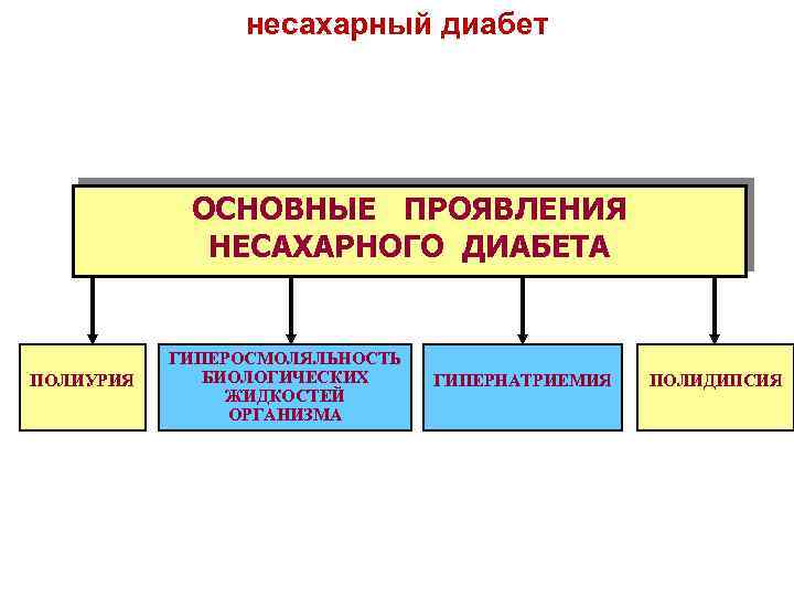 несахарный диабет ОСНОВНЫЕ ПРОЯВЛЕНИЯ НЕСАХАРНОГО ДИАБЕТА ПОЛИУРИЯ ГИПЕРОСМОЛЯЛЬНОСТЬ БИОЛОГИЧЕСКИХ ЖИДКОСТЕЙ ОРГАНИЗМА ГИПЕРНАТРИЕМИЯ ПОЛИДИПСИЯ 