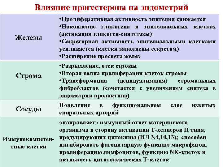 Влияние прогестерона на эндометрий Железы Строма Сосуды • Пролиферативная активность эпителия снижается • Накопление