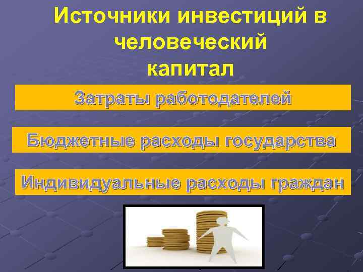 Источники инвестиций в человеческий капитал Затраты работодателей Бюджетные расходы государства Индивидуальные расходы граждан 