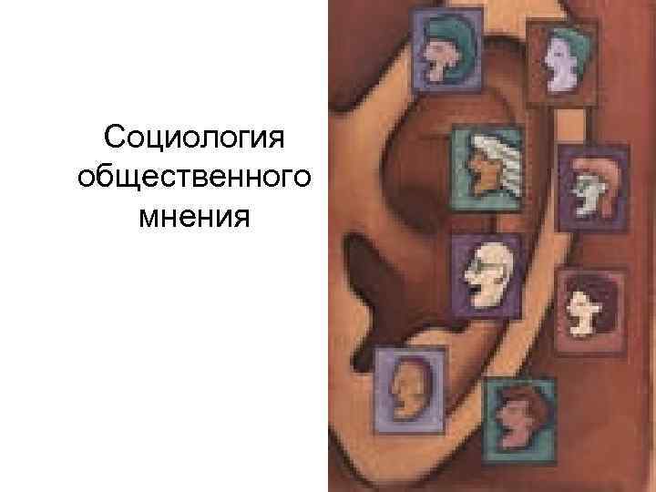  Социология общественного  мнения 