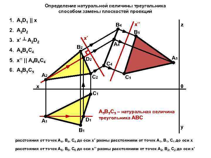 Натуральная величина