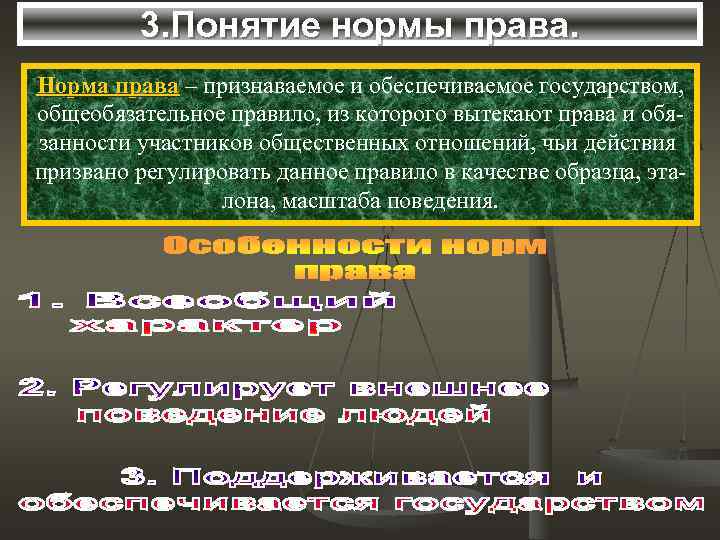    3. Понятие нормы права. Норма права – признаваемое и обеспечиваемое государством,