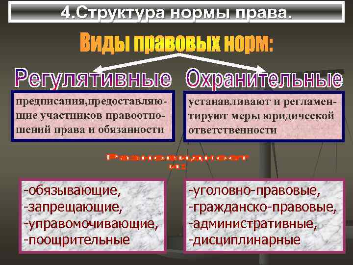   4. Структура нормы права. предписания, предоставляю-  устанавливают и регламен- щие участников