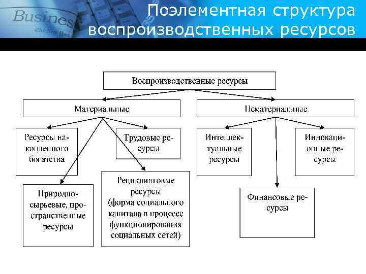 Поэлементная структура воспроизводственных ресурсов 