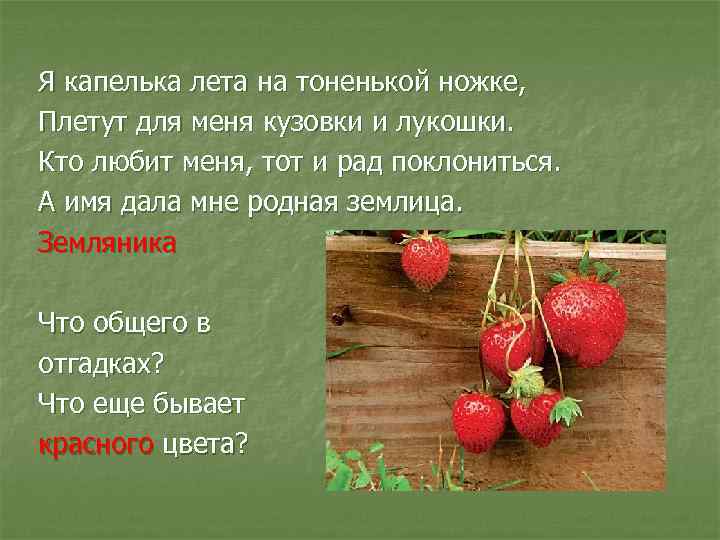 Я капелька лета на тоненькой ножке, Плетут для меня кузовки и лукошки. Кто любит