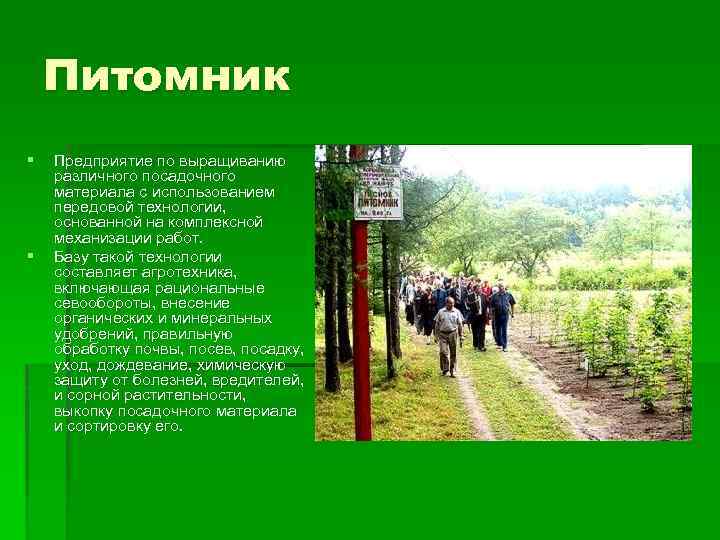 Питомник § § Предприятие по выращиванию различного посадочного материала с использованием передовой технологии, основанной