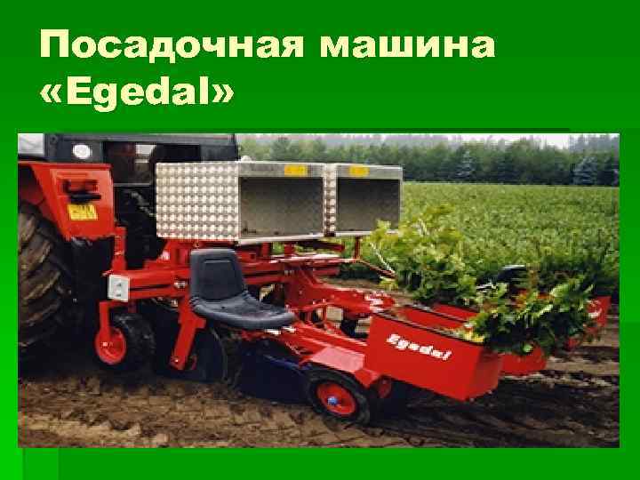 Посадочная машина «Egedal» 