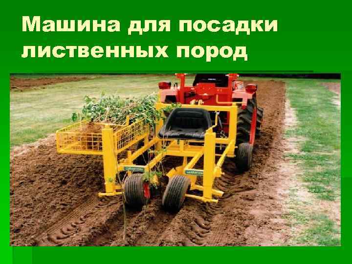 Машина для посадки лиственных пород 