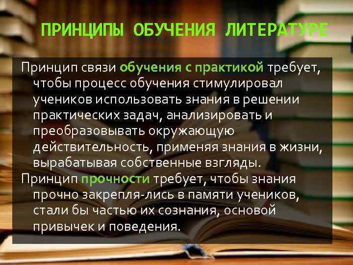 Принципы в литературе. Принципы обучения литературе. Частнометодические принципы преподавания литературы. Методические принципы преподавания литературы.