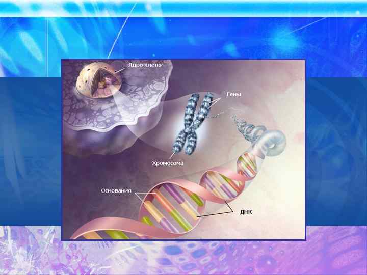 Слайд разделитель 