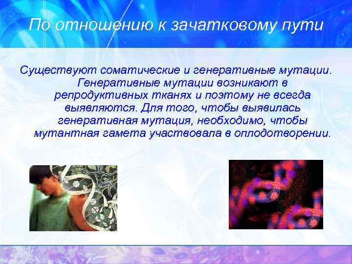 По отношению к зачатковому пути Существуют соматические и генеративные мутации. Генеративные мутации возникают в