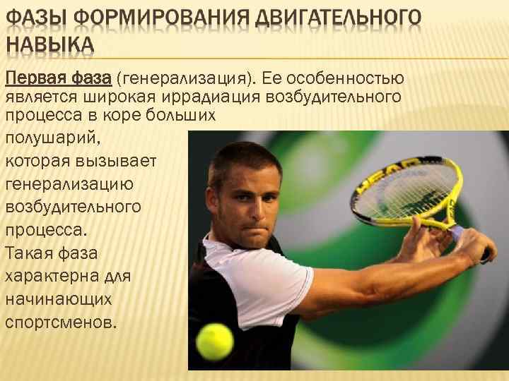 Первая фаза (генерализация). Ее особенностью является широкая иррадиация возбудительного процесса в коре больших полушарий,