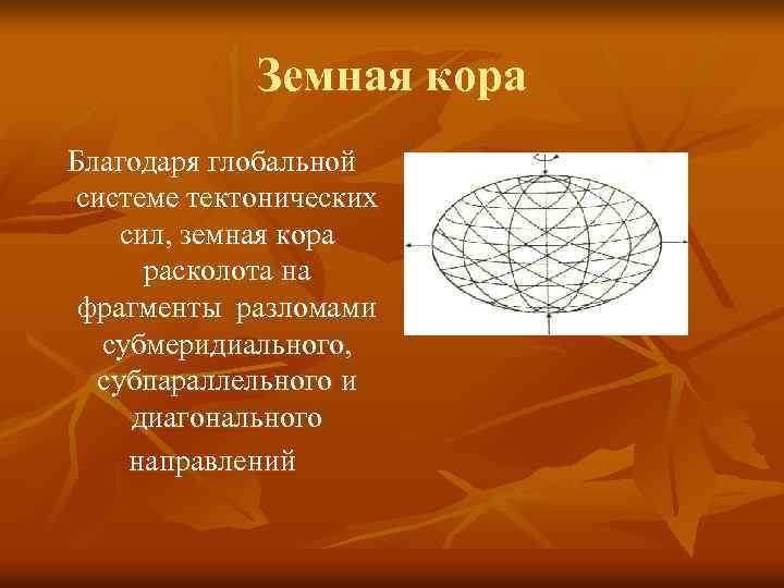 Земная кора Благодаря глобальной системе тектонических сил, земная кора расколота на фрагменты разломами субмеридиального,