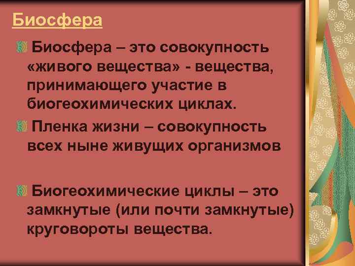 Биосфера – это совокупность «живого вещества» - вещества, принимающего участие в биогеохимических циклах. Пленка