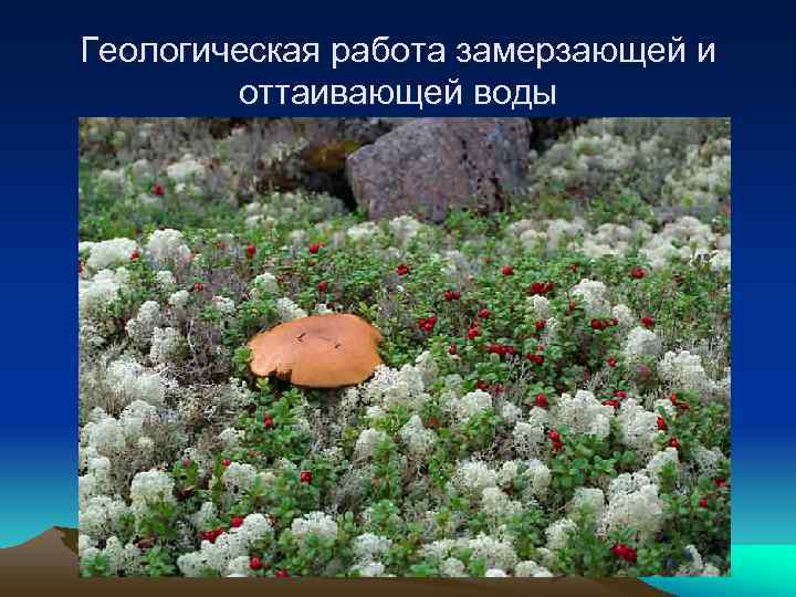 Геологическая работа замерзающей и   оттаивающей воды 