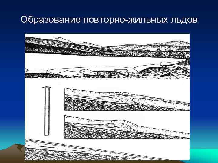 Образование повторно-жильных льдов 