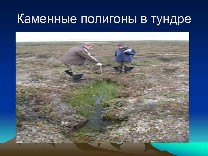 Каменные полигоны в тундре 