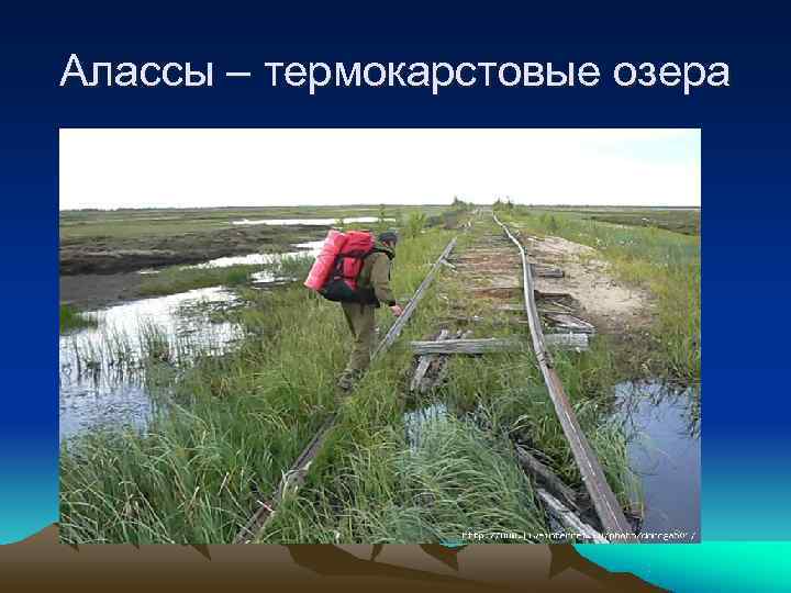 Алассы – термокарстовые озера 