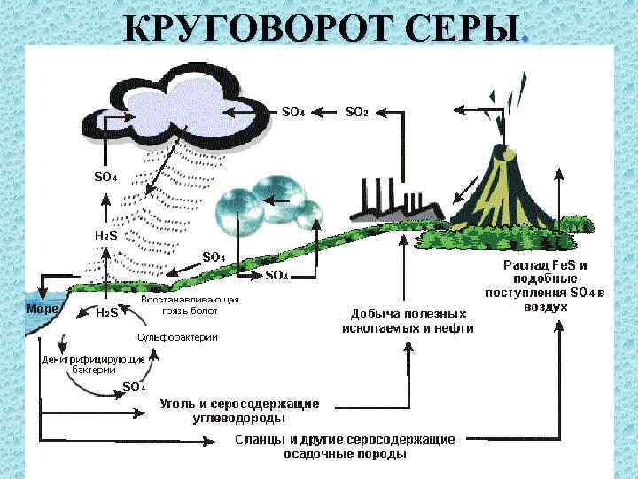 КРУГОВОРОТ СЕРЫ. 