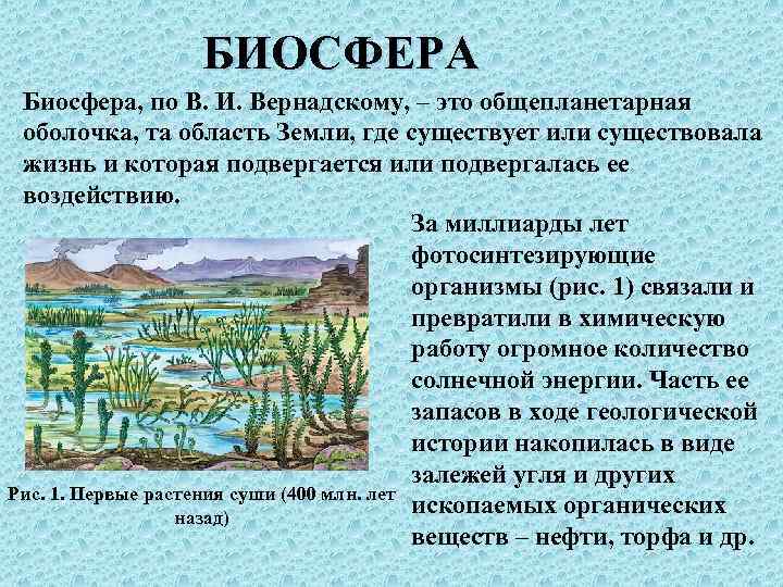    БИОСФЕРА Биосфера, по В. И. Вернадскому, – это общепланетарная  оболочка,