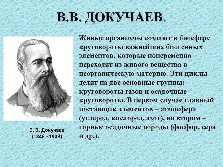   В. В. ДОКУЧАЕВ.    Живые организмы создают в биосфере 