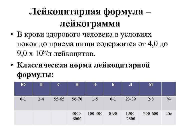   Лейкоцитарная формула –   лейкограмма • В крови здорового человека в