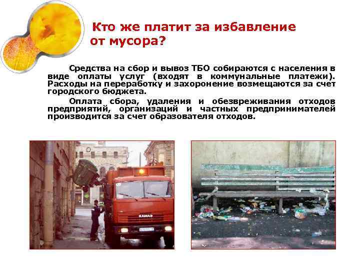 Кто же платит за избавление от мусора? Средства на сбор и вывоз ТБО собираются