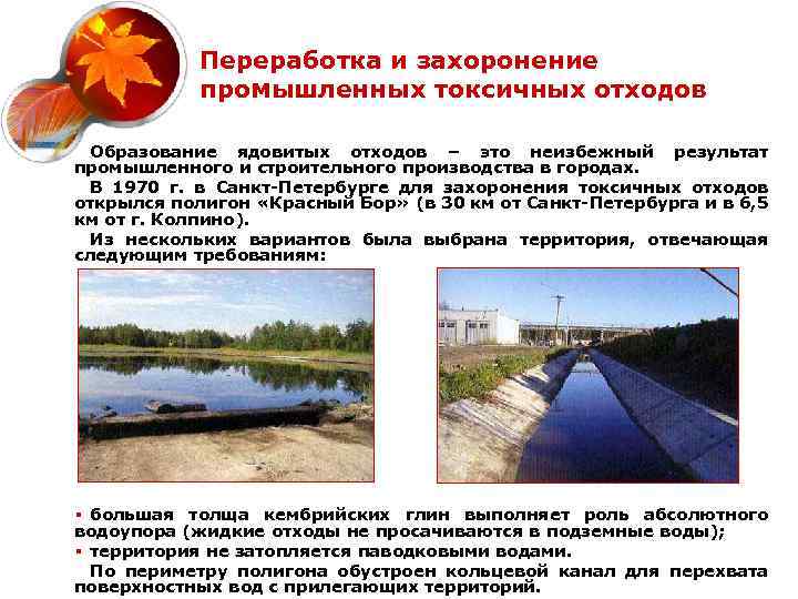 Переработка и захоронение промышленных токсичных отходов Образование ядовитых отходов – это неизбежный результат промышленного