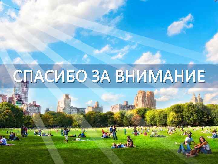 СПАСИБО ЗА ВНИМАНИЕ 